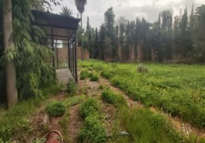 Superbe opportunité villa à vendre au quartier Polo