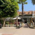 Show-room aménagé sur la route d’Agadir/Marrakech